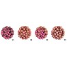 Cecile Blusher Balls Top Allık