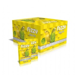Fizzy Gaga Taşi