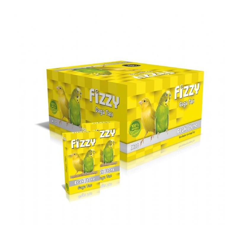 Fizzy Gaga Taşi