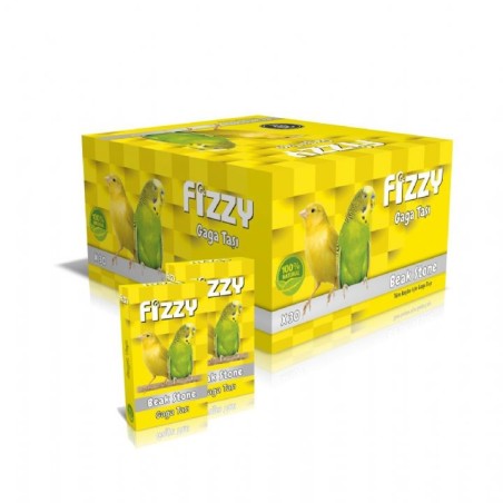 Fizzy Gaga Taşi