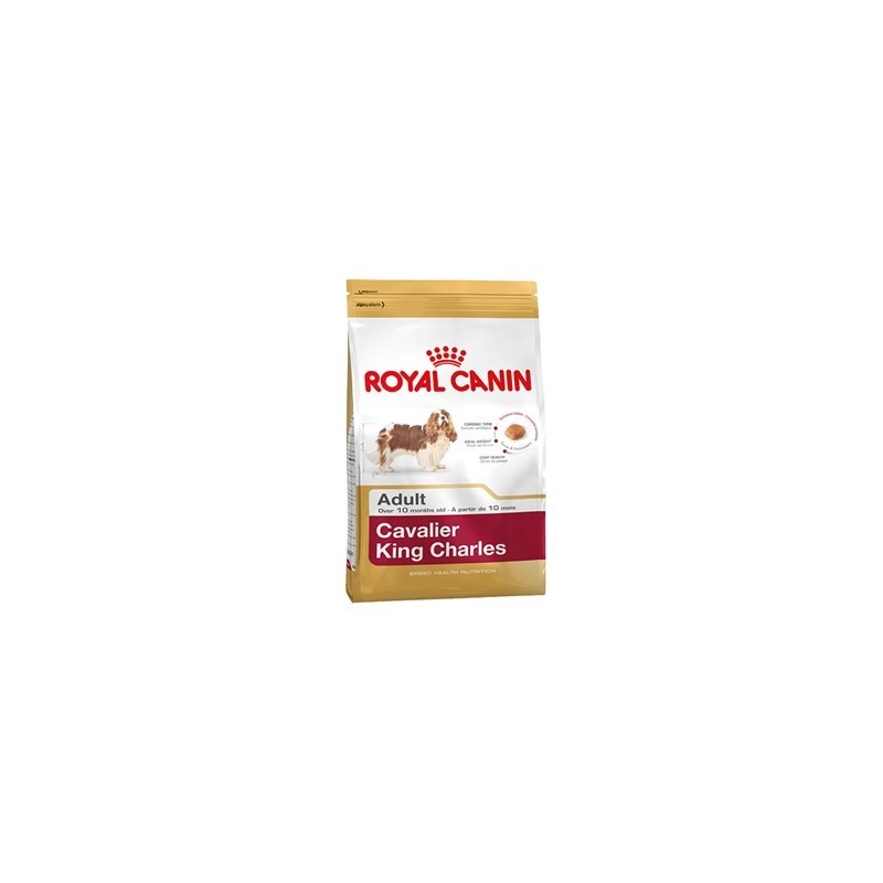 Royal Canin Bhn Cavalier Ad 3K