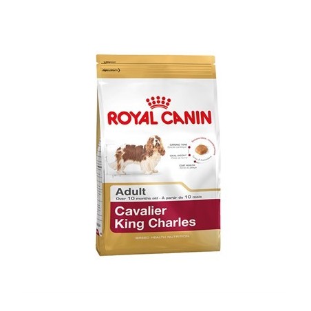 Royal Canin Bhn Cavalier Ad 3K
