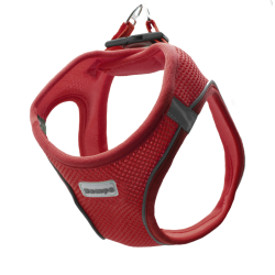 Zampa Air Mesh Kedi Köpek Göğüs Tasma 2XS Kırmızı