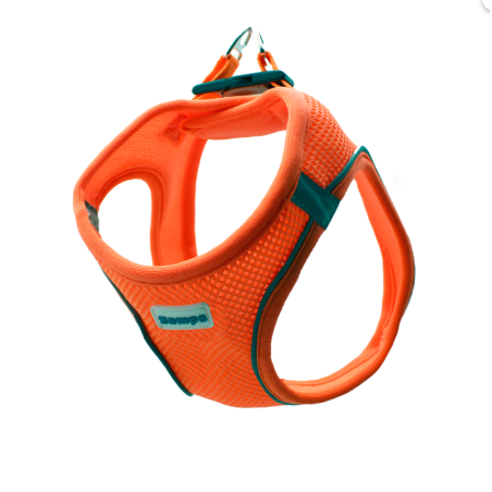 Zampa Air Mesh Kedi Köpek Göğüs Tasma XL  Turuncu