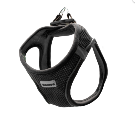 Zampa Air Mesh Kedi Köpek Göğüs Tasma XS  Siyahı