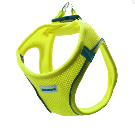 Zampa Air Mesh Kedi Köpek Göğüs Tasma L  Neon