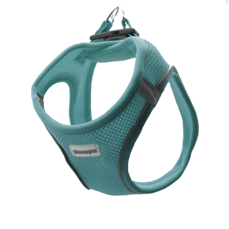 Zampa Air Mesh Kedi Köpek Göğüs Tasma XS  Turkuaz