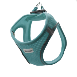 Zampa Air Mesh Kedi Köpek Göğüs Tasma XL  Turkuaz