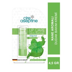 Cire Aseptine Nane Aromalı Dudak Bakım Kremi 4,5 gr