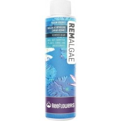 ReefLowers Remalgae Yosun Giderici 250 ml