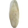 Fizzy Kalamar Kemik 1Kg