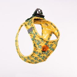Cactus Air-Mesh L