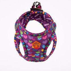 Hearts Air-Mesh M