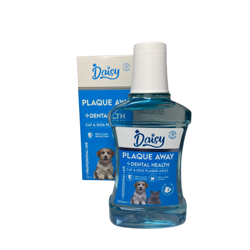 Daisy Kedi Köpek Ağız Bakım Suyu 250ml
