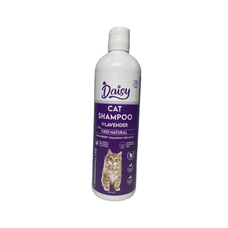 Daisy Lavantalı Kedi Şampuanı 400 ml
