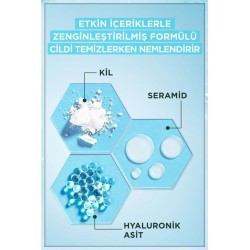 Garnier Saf & Temiz Nemlendiren Temizleyici 250 ml