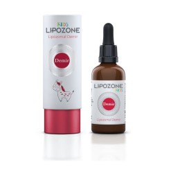 Lipozone Kids Demir 15 ml