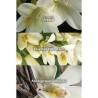Avon Far Away Kadın Parfüm EDP 50 ml