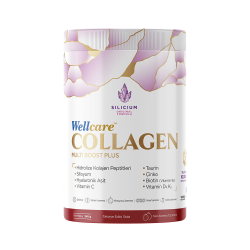 Wellcare Collagen Multi Boost Plus Toz Form 345gr