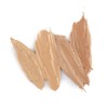 Aden Make-Up Cream Foundation 15 ml ( 04 Ivory )