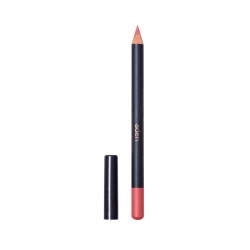 Aden Lipliner Pencil ( 41 Rosie Brown )