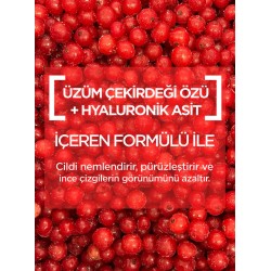 Garnier Nem Bombası Dolgunlaştırıcı Kağıt Yüz Maskesi 28 gr