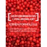Garnier Nem Bombası Dolgunlaştırıcı Kağıt Yüz Maskesi 28 gr