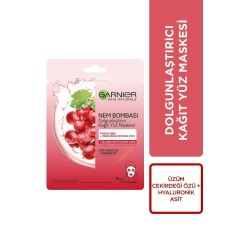 Garnier Nem Bombası Dolgunlaştırıcı Kağıt Yüz Maskesi 28 gr
