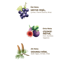 Eyüp Sabri Tuncer Wild Fig 150 ml Eau De Cologne - Cam Şişe