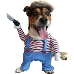 Kedi Köpek Bıçaklı Kostüm Kıyafet