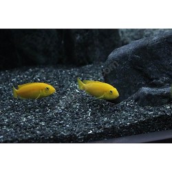 Reeflowers Akvaryum Kumu Siyah 1 kg