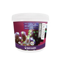 Reeflowers Caledonia Coral Salt 22,5 Kg.