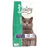 Daisy Premium Salmon 32/15 Kedi Maması 12 Kg