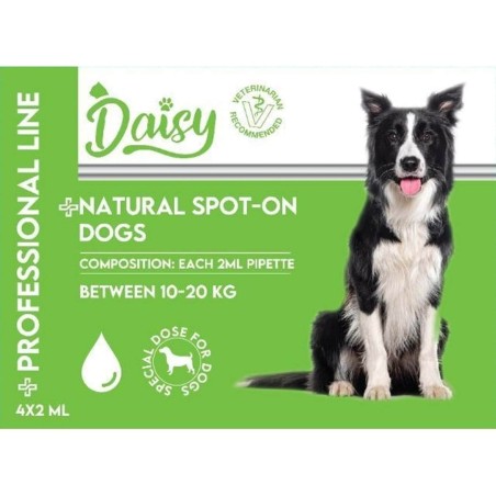 Daisy Köpek Ense Damlası (10-20 kg)  4*2 ml