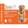 Daisy Köpek Ense Damlası (20-40 kg)  4*3 ml