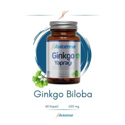 Avicenna Ginkgo Yaprağı 60 Kapsül