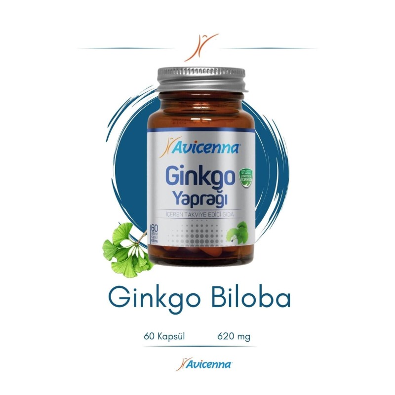 Avicenna Ginkgo Yaprağı 60 Kapsül