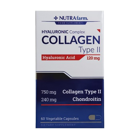 Dermoskin NutraFarm Collagen Hyaluronic Acid Tip2 120mg 60 Kapsül