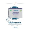 Avicenna Glukozamin & Kondroitin & MSM & Hyaluronik Asit 60 Tablet