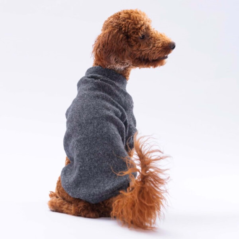 Paw Star 24722 Siyah Merino Sweat Paw Star 24722 Siyah Merino Sweat