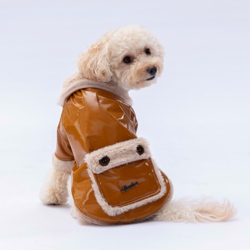 Paw Star 24204 Camel Vegas Ceket Paw Star 24204 Camel Vegas Ceket