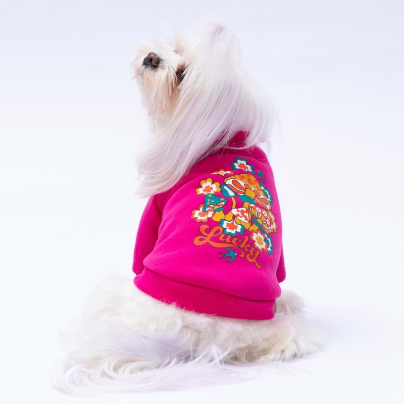 Paw Star 24739 Pembe Chongqing Sweat Paw Star 24739 Pembe Chongqing Sweat