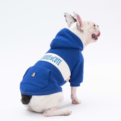 Paw Star 23705 Mavi Cute Hoodie