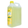 Cire Aseptine Limon Kolonyası 1000ml