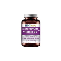 Outlet - Wellcare Magnezyum B6 Vitamini 30 Tablet