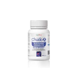 Outlet - LeeRoy Chudo-X Glukosamin Chondroitin MSM 200 Tablet