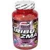 Amix Tribu Zma
