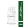 Mamajoo Silver Biberon 150 ml & Anti-Kolik Biberon Emziği No:1 / S (S.K.T 02-2026)