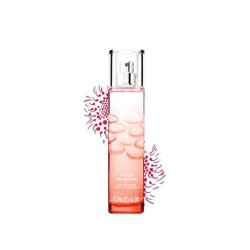 Caudalie Figue De Vigne 50 İncir Aromalı Parfüm 50 ml