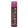 Burts Bees Tinted Lip Balm, Sweet Violet :